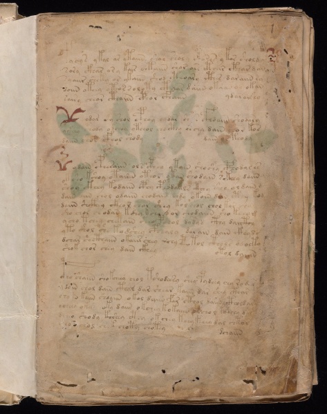 File:VM 1r.jpg