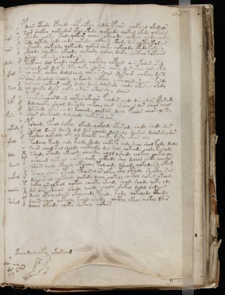 File:VM 66r.jpg