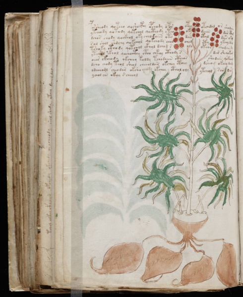 File:VM 93v.jpg