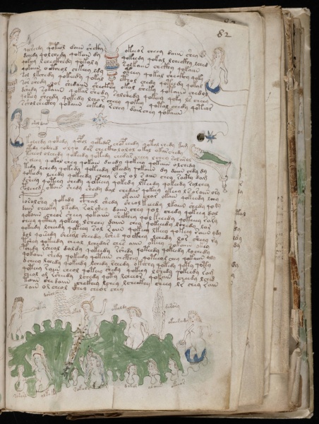 File:VM 82r.jpg