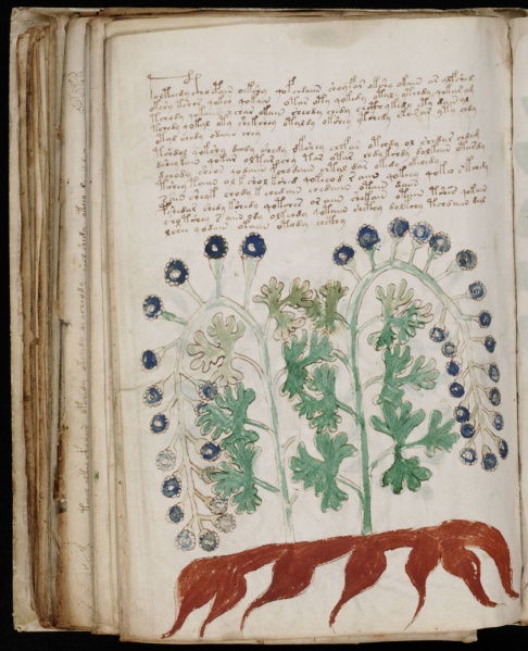 File:VM 95v1.jpg
