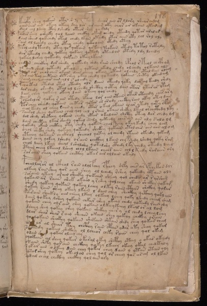 File:VM 116r.jpg
