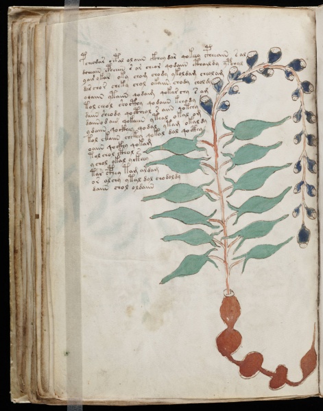 File:VM 54v.jpg
