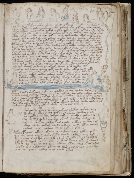 File:VM 80r.jpg