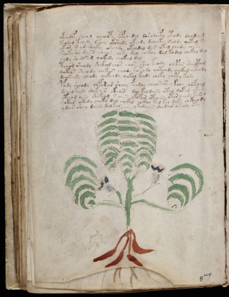 File:VM 66v.jpg