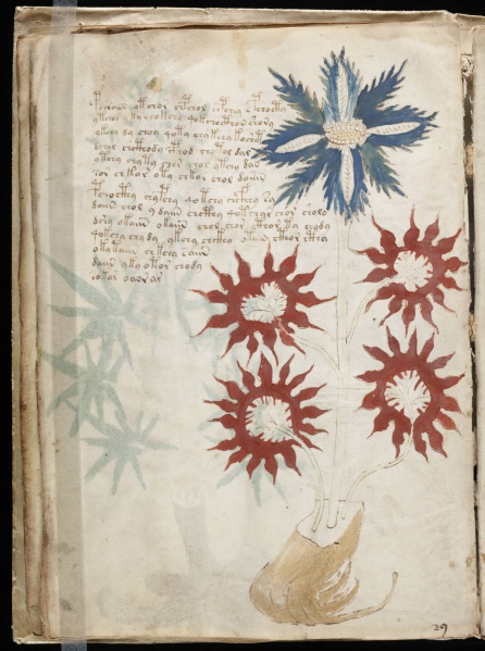 File:VM 16v.jpg
