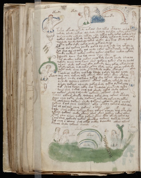 File:VM 82v.jpg