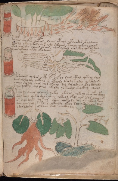 File:VM 102r1.jpg