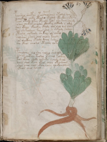 File:Foliof87r.jpg