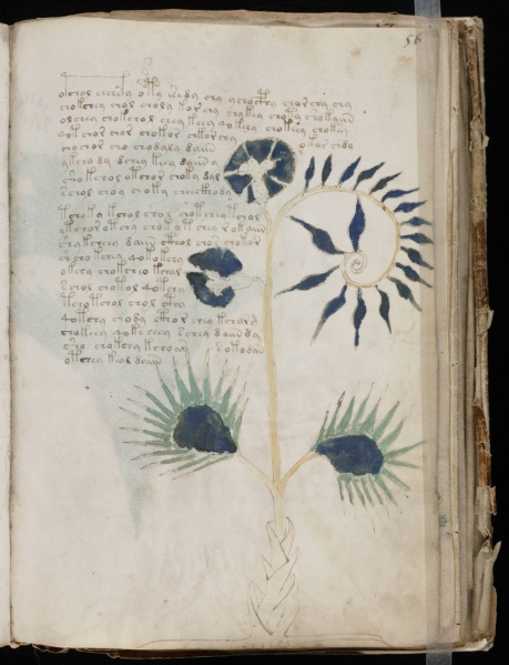 File:VM 56r.jpg