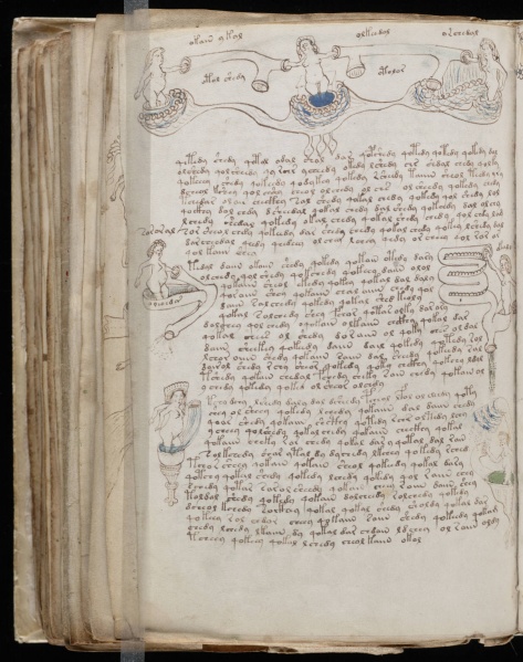 File:VM 77v.jpg