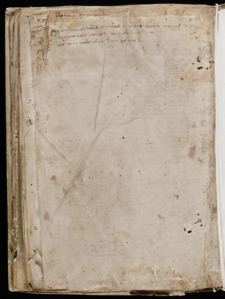 File:VM 116v.jpg
