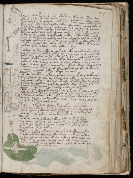 File:VM 79r.jpg