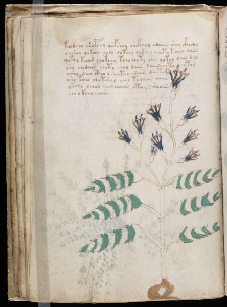 File:VM 21v.jpg