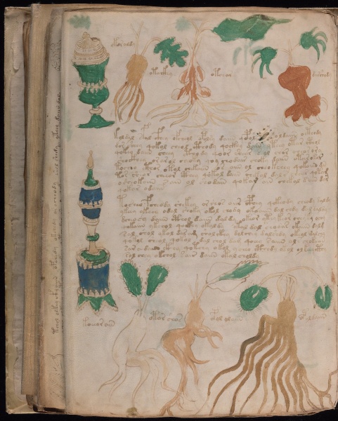 File:VM 89v1.jpg