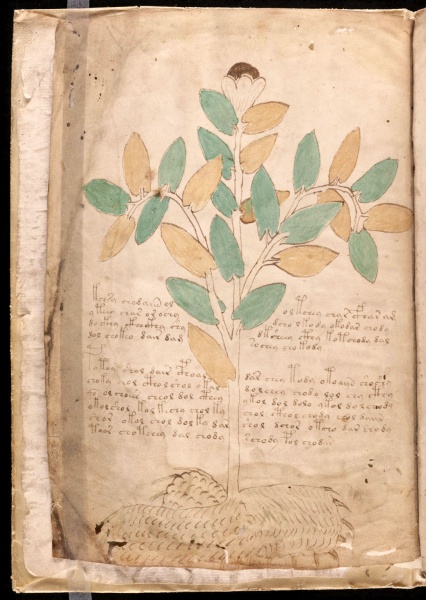 File:VM 1v.jpg