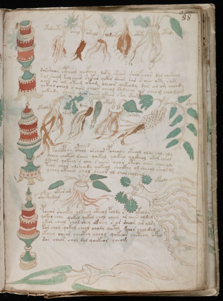 File:VM 88r.jpg