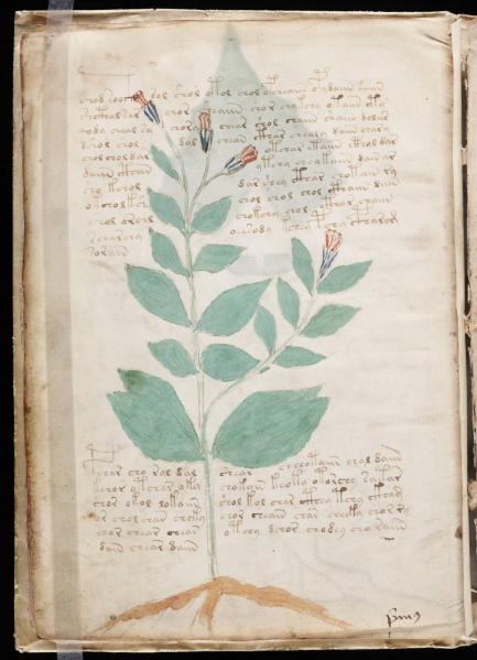 File:VM 8v.jpg