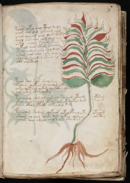 File:VM 3r.jpg