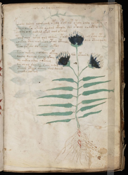 File:VM 17r.jpg