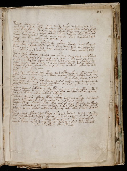 File:VM 85r1.jpg
