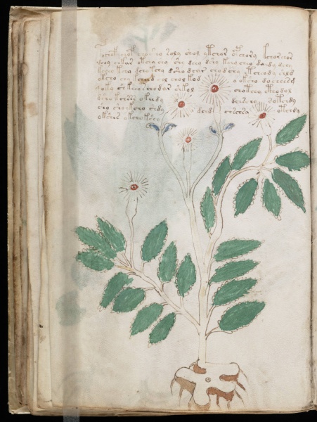 File:VM 27v.jpg