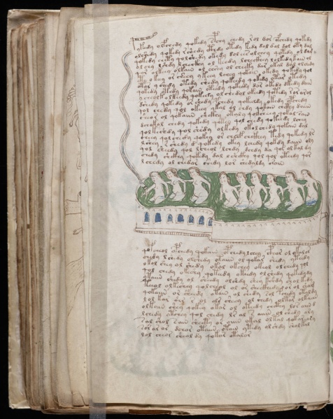 File:VM 78v.jpg