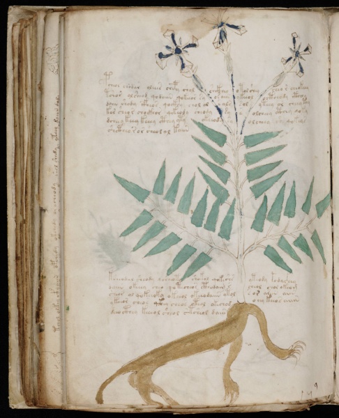 File:VM 90v1.jpg