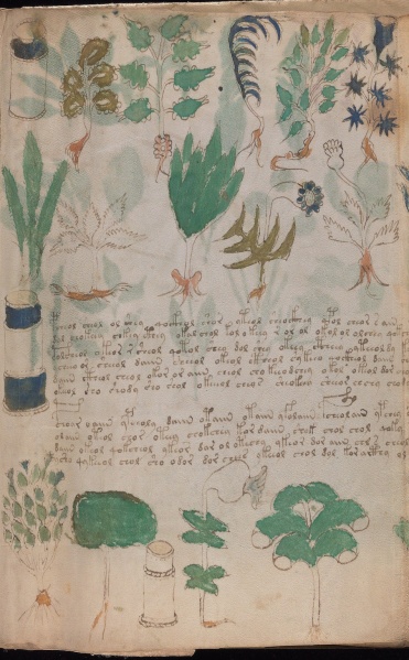 File:VM 101r1.jpg
