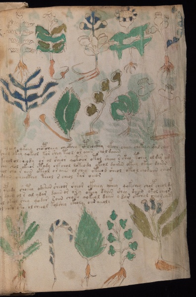 File:VM 101r2.jpg