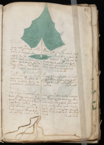 File:VM 8r.jpg