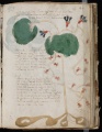 Thumbnail for version as of 15:31, 23 October 2014