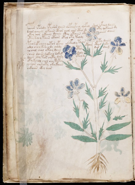 File:VM 9v.jpg