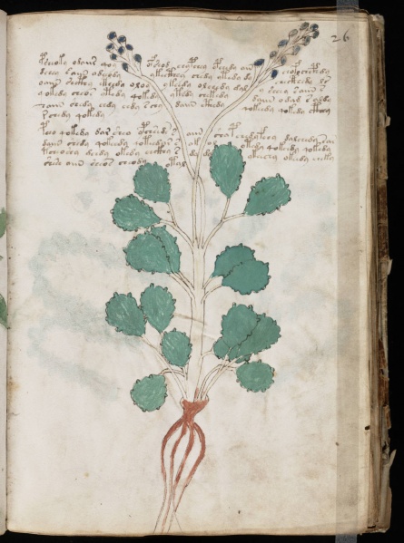 File:VM 26r.jpg