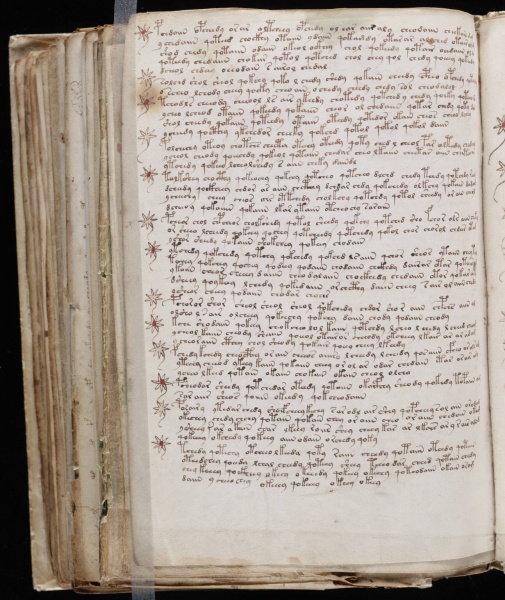 File:VM 104v.jpg