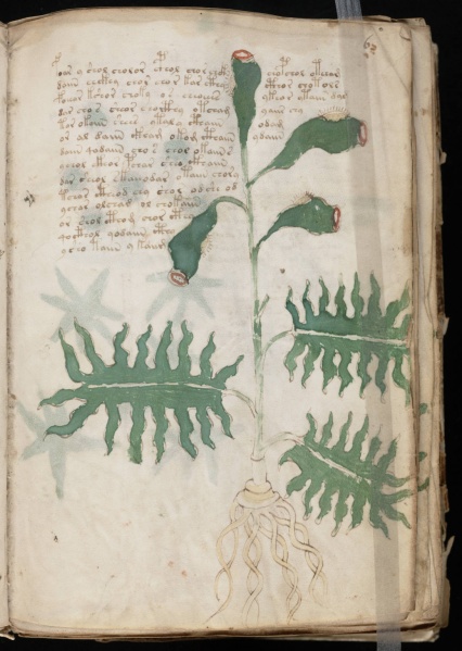 File:VM 6r.jpg