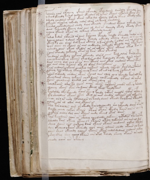 File:VM 105v.jpg