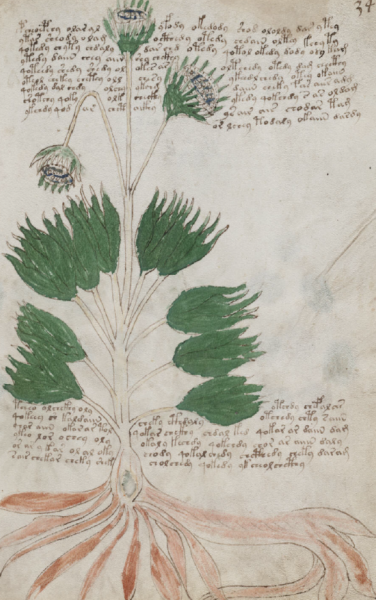 File:F34r.png