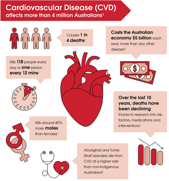 File:CVD-the-facts.png