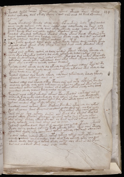 File:VM 114r.jpg