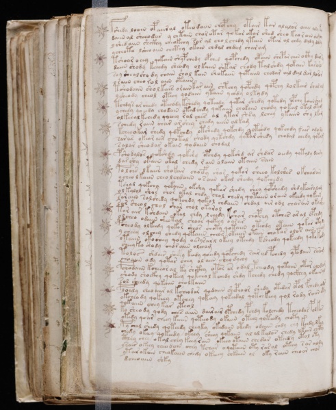 File:VM 106v.jpg