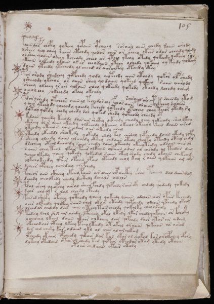 File:VM 105r.jpg