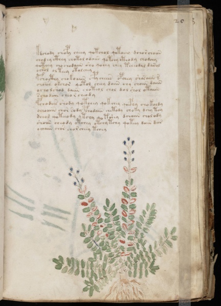 File:VM 20r.jpg