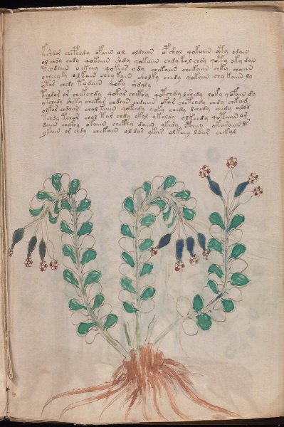 File:VM 95r1.jpg