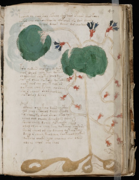 File:VM 49r.jpg