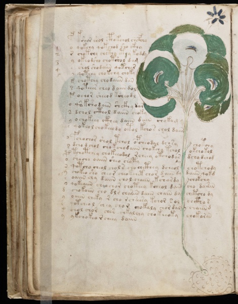File:VM 49v.jpg