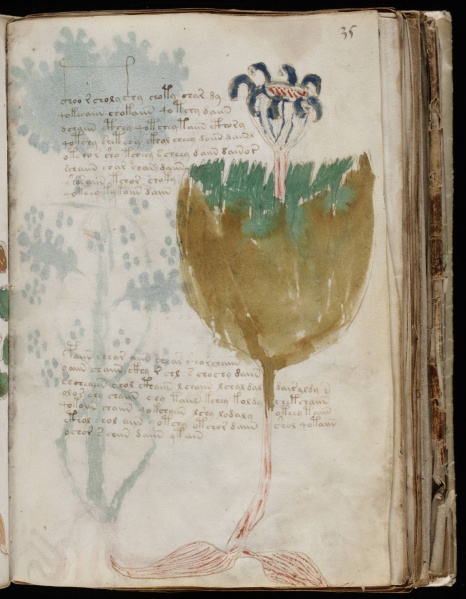 File:VM 35r.jpg