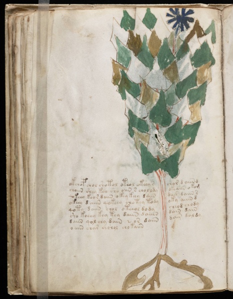 File:VM 38v.jpg