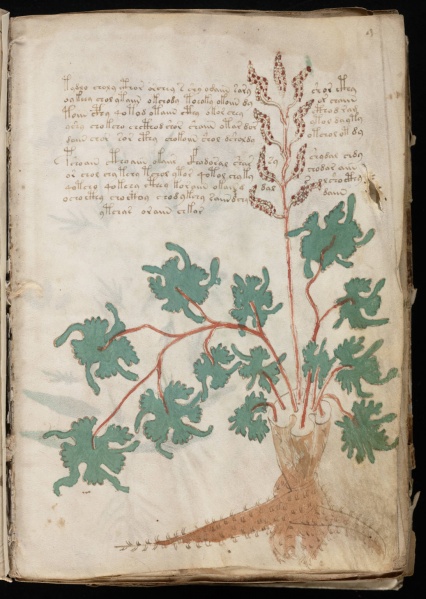 File:VM 9r.jpg