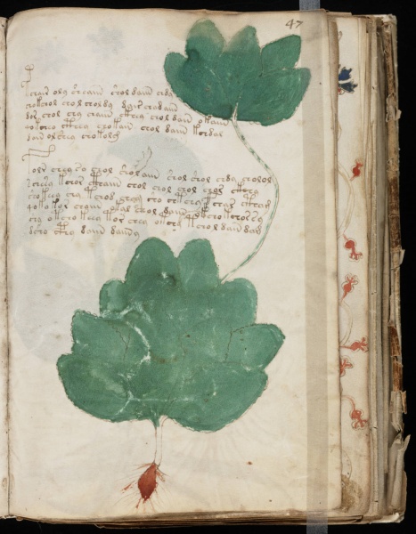 File:VM 47r.jpg